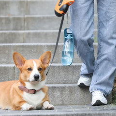 Portable Dog Water Bottle and Feeder for Walks