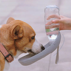 Portable Dog Water Bottle and Feeder for Walks